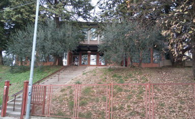 Scuola Primaria C. Collodi - Tempo Normale