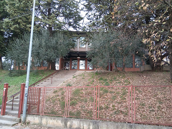 Scuola Primaria C. Collodi - Tempo Normale