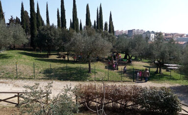 Scuola dell'Infanzia Alda Merini Perugia